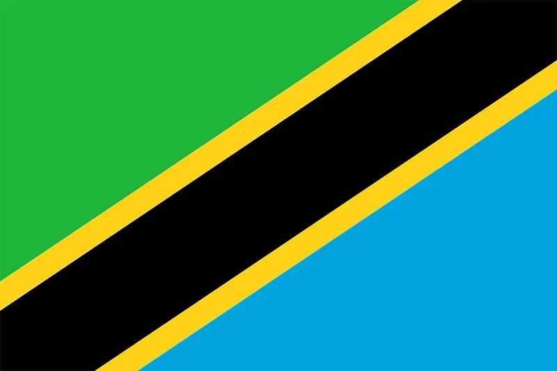 Tanzania Flag